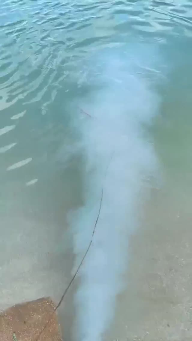 Vídeo de instalación Water Wizard